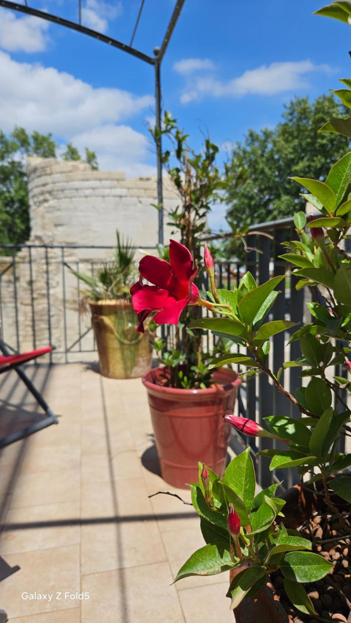 Brit Hotel Acacias Arles Bagian luar foto